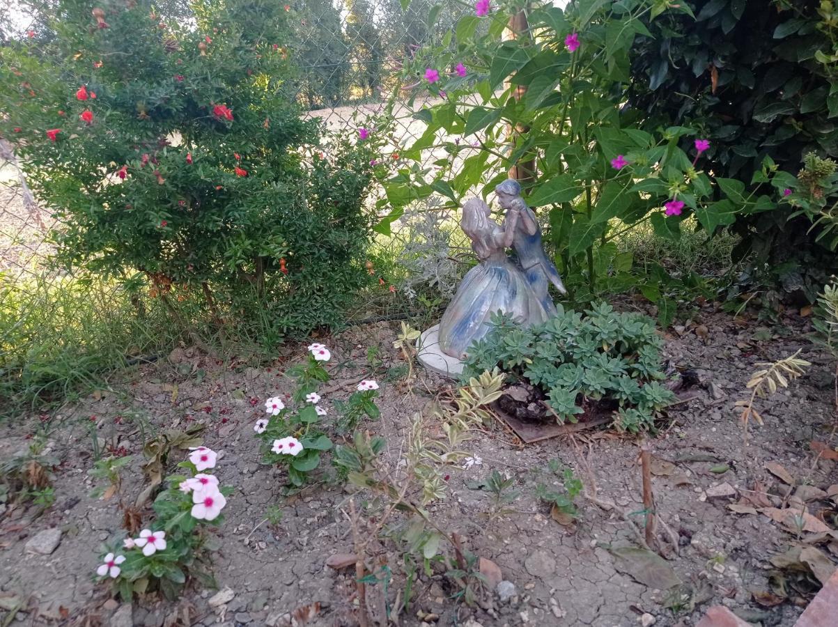 La Casa Di Tara B&B Armonia E Natura Реканати Экстерьер фото