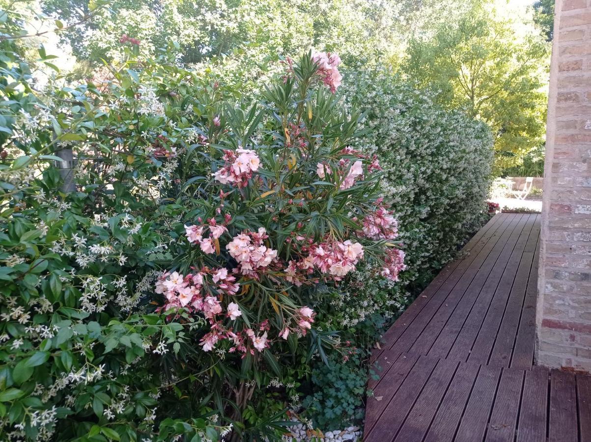 La Casa Di Tara B&B Armonia E Natura Реканати Экстерьер фото