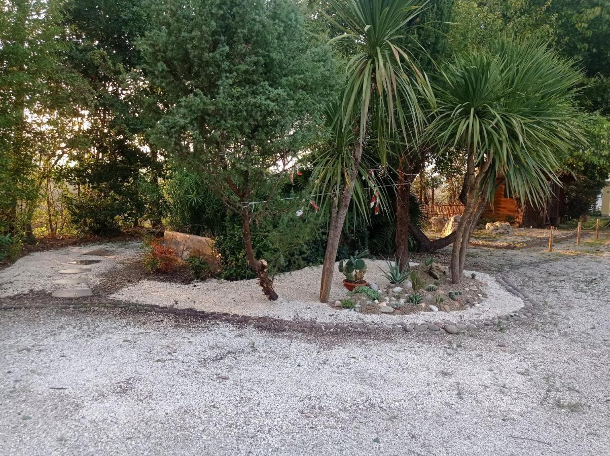 La Casa Di Tara B&B Armonia E Natura Реканати Экстерьер фото