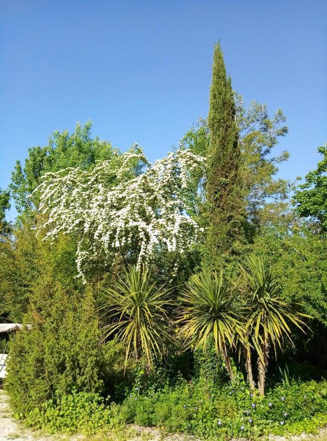 La Casa Di Tara B&B Armonia E Natura Реканати Экстерьер фото