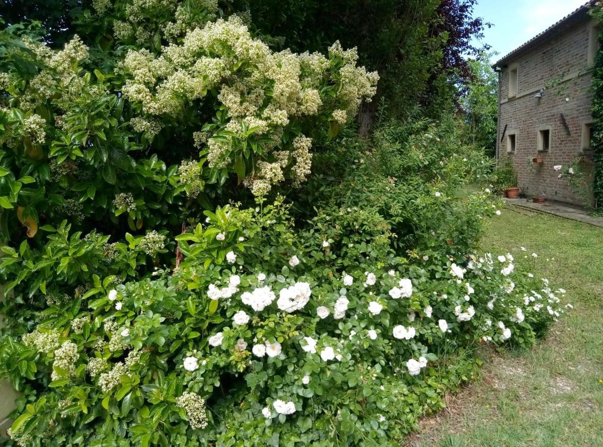 La Casa Di Tara B&B Armonia E Natura Реканати Экстерьер фото